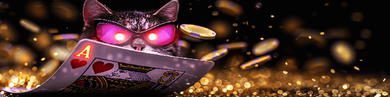 7 K casino - обзор онлайн казино